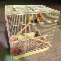 قفس پرنده/حیوانات/جفتگاه/کوچک/بزرگ