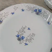 سرویس آرکوپال پارس اوپال|ظروف سرو و پذیرایی|اندیشه, اندیشه فاز ۱|دیوار