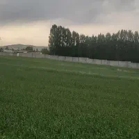 زمین۲۰۸۰ متری  در سد الخلج|فروش زمین و ملک کلنگی|تیکمه داش, |دیوار