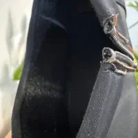 نیم بوت پاشنه‌دار|کیف، کفش، کمربند|قم, پردیسان|دیوار