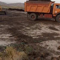 کود گاوی سوخته درجه یک