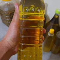 روغن زیتون اصل طارم