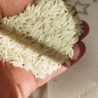 برنج گیلان ۱۹۸ تومان|خوردنی و آشامیدنی|محمدشهر, شهرک چمران|دیوار