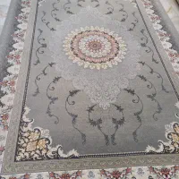یک تخته ۶ متری ۱۰۰۰ شانه دست دوم زیر قیمت