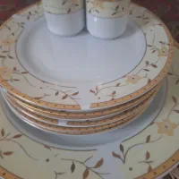 تعدادی ظروف کاملا نو