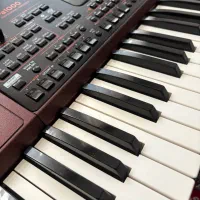 Korg Pa1000|پیانو، کیبورد، آکاردئون|مرند, |دیوار