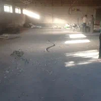 اجاره سالن|اجارهٔ دفتر صنعتی، کشاورزی، تجاری|بناب, |دیوار