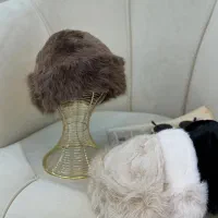 کلاه خزدار وارداتی (ارسال رایگان)|لباس|پرند, فاز ۲|دیوار