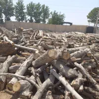 چوب خشک و تخریبی