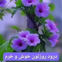 طب سنتی