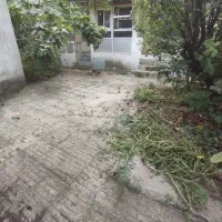 متراژ ۱۹۰ مترزمین با خانه کلنگی مرکز شهر ۲/۹۰۰|فروش زمین و ملک کلنگی|لاهیجان, پردسر|دیوار