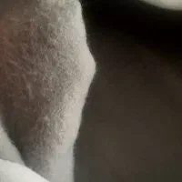 ست دورس و شلوار تو کرک نو|لباس|تهران, شهرک آسمان|دیوار