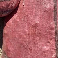 کود اردک وغاز