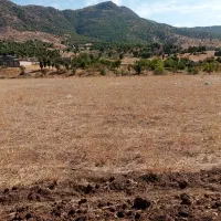 فروشی زمین خام|فروش زمین و ملک کلنگی|بانه, |دیوار