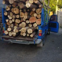 خریدچوب وقطع درخت توت عرعرکاج گردو|خدمات باغبانی و درختکاری|مشهد, رسالت|دیوار