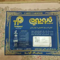 فرش تاروپود دستباف گونه مدل گلوریا|فرش|مشهد, چهارچشمه|دیوار