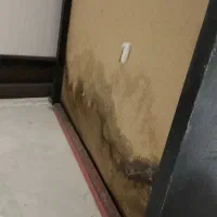 کتابخونه چوبی|کتابخانه، شلف، قفسههای دیواری|شیراز, شاهجیان|دیوار