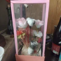 اباژور