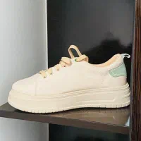 بوت|کیف، کفش، کمربند|فسا, |دیوار