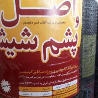 کارخانه ایزوگام کولیوند