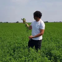 رنجر امریکایی همدانی