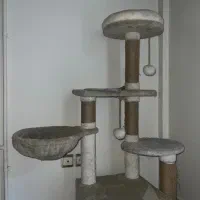 اسکرچر،خانه گربه،لانه