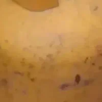 (کپسول  ایران گاز پر با ریگلاتور)