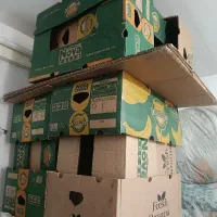 کارتون موزی اثاث کشی