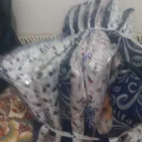 با عرض سلام چادرنمازومقنعه دارم|لباس|مریوان, |دیوار