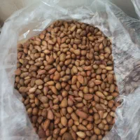 مژک کوهی|خوردنی و آشامیدنی|شیراز, میانرود|دیوار