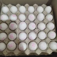 تخم مرغ وزن. ده و نیم ..کودی