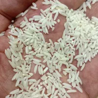سر لاشه درجه یک  قیمت ۳۵۰