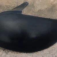 چراغ عقب ۲۰۶ سری جدید با کاور