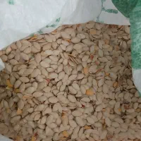کدو‌آجیلی