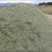 یونجه خرمنکوب شده خالص