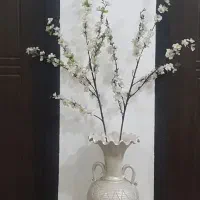 گل شکوفه دوعدد بزرگ
