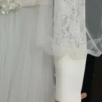 مجلسی وفرمالیته|لباس|ساری, |دیوار