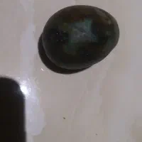 تعداد۲۷ نوع سنگ قیمتی ونیمه قیمتی|جواهرات|ری, شهید بهشتی|دیوار