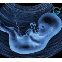 دعوت از متخصص رادیولوژی برای تاسیس سونوگرافی