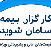 کارگزار بیمه