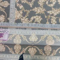 فرش ۶ متری به تعداد زیاد در طرح‌های مختلف ۱۲۰۰شانه|فرش|کرمانشاه, |دیوار