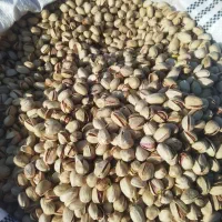 پسته رفنجان|خوردنی و آشامیدنی|سنندج, |دیوار