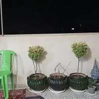 رهن سوئیت مبله|اجارهٔ آپارتمان|اصفهان, لیمجیر|دیوار