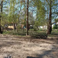 استخدام نیروی کار