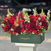 باکس گل قرمز و سبز ترکیبی کد ۱۰۸۵ گلاریس