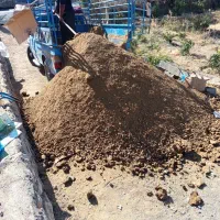 کود گاوی وگوسفندی|خدمات باغبانی و درختکاری|جبالبارز, |دیوار