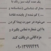 کیف گمشده
