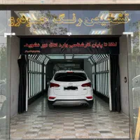 کارشناسی و تشخیص رنگ خودرو|خدمات موتور و ماشین|شیراز, کاراندیش|دیوار