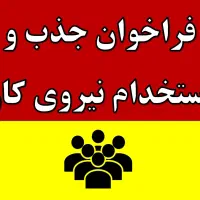 استخدام نیروی کار