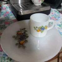 بشقاب پلوخوری و لیوان آرکوپال قدیمی گل میوه ای